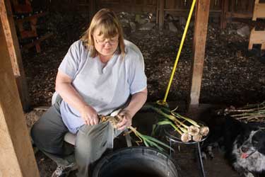Edna and Tara process garlic by Susan Fluegel at Grey Duck Garlic