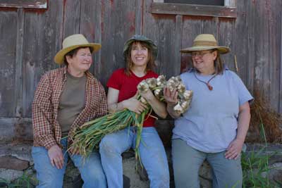 Three women garlic farmers by Patty Fluegel at Grey Duck Garlic