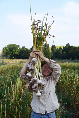 Patty holds Siberian garlic over head by Susan Fluegel at Grey Duck Garlic