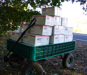 Grey Duck Garlic, mail cart with boxes of gourmet garlic ready to ship
