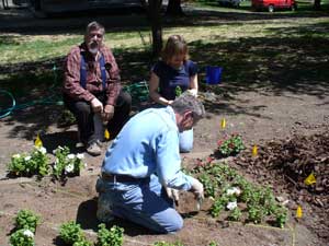 Grey Duck Garlic, Bill, Mike and Susan plant memorial