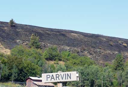 Fire damage on hill by Susan Fluegel at Grey Duck Garlic