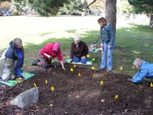 Grey Duck Garlic helps landscape war memorial